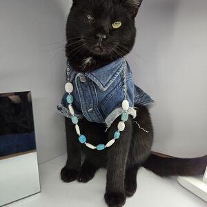 Elegant Blue and White Necklace